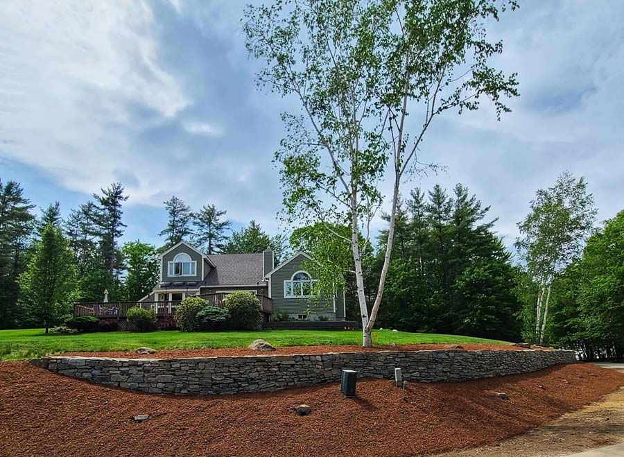 House with a gray exterior, surrounded by a retaining wall and a birch tree, under a partly cloudy sky.
