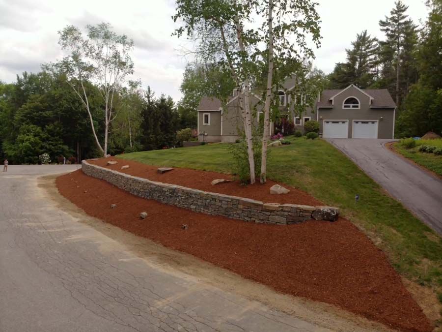 Stone retaining wall with red mulch and birch trees, in front of a house with a driveway.