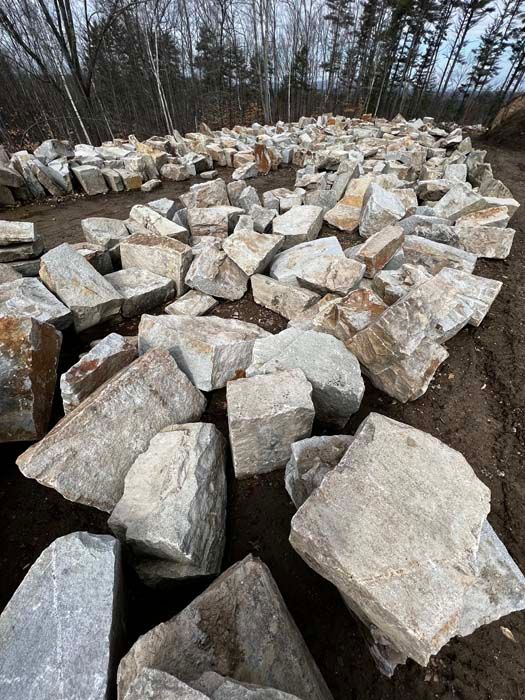 Pile of light-colored rocks on a dirt road, surrounded by trees.