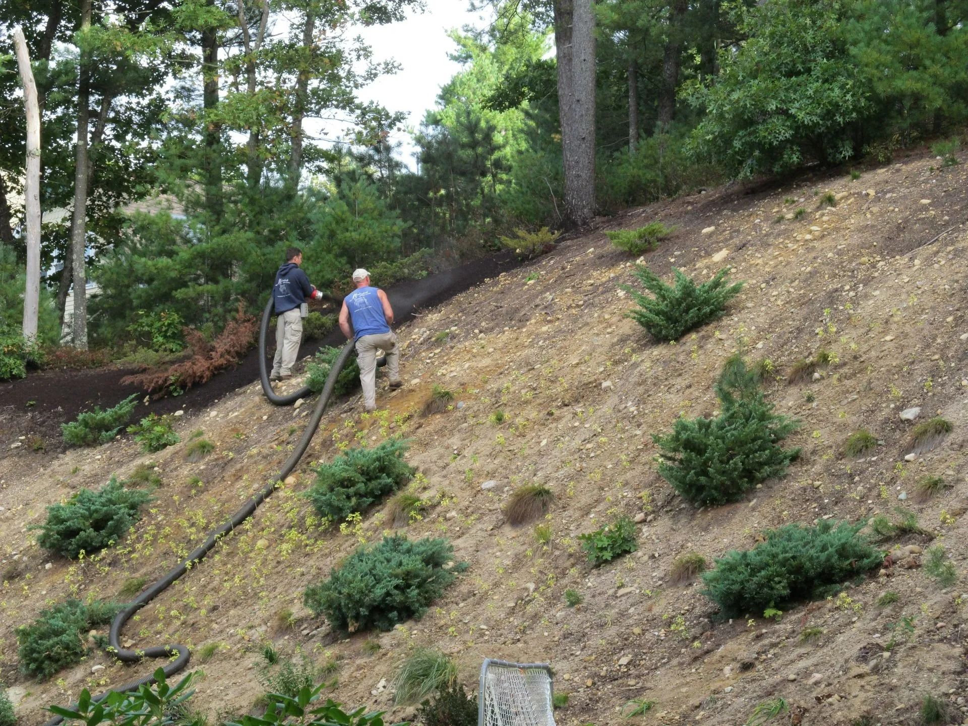 Gallery Meadowbrook Mulch and Erosion Control