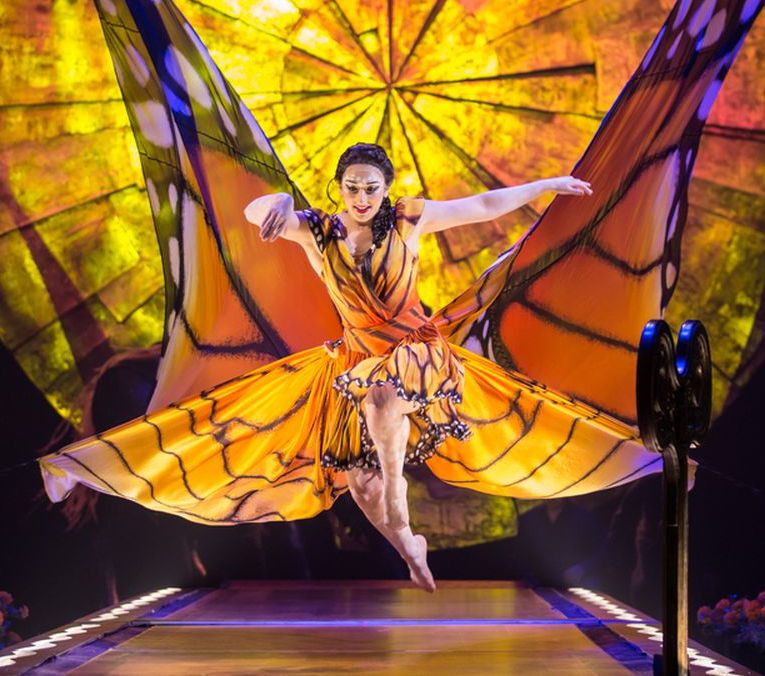 Best Wedding Planner in Washington DC & Northern Virginia TEGI