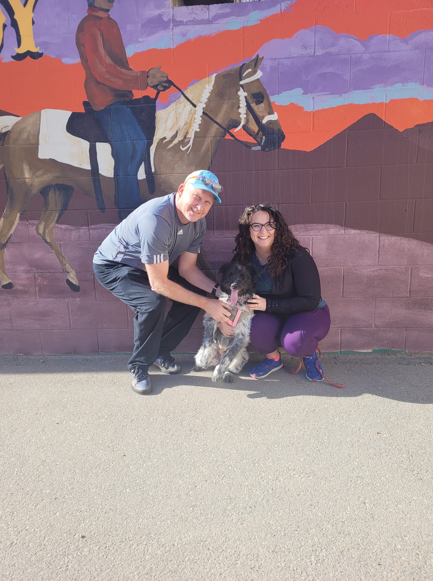 Dog Boarding Gallery Cowboy Joe's Dog Boarding