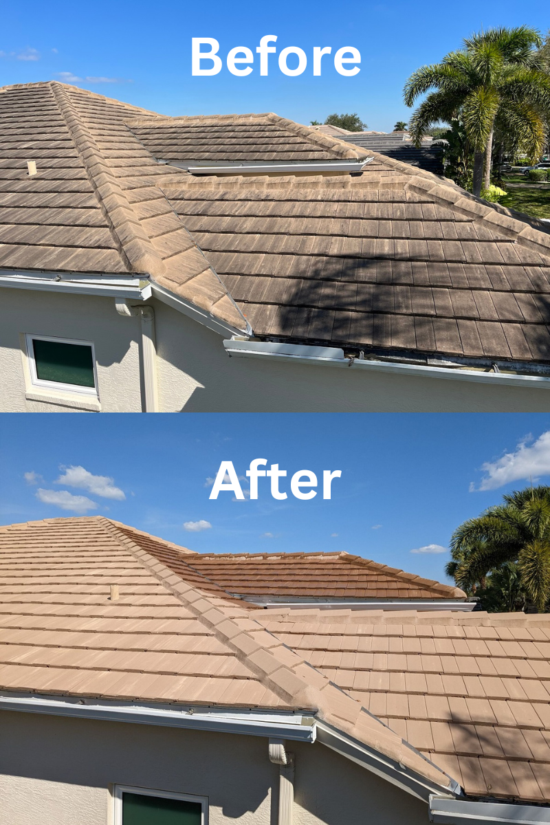 Roof Cleaning Roof Soft Wash Services Naples, FL