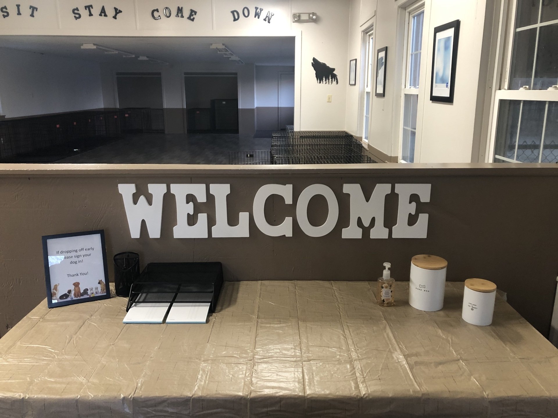 Doggie Daycare Services Willington CT Dog / Cat Day Care Camp in