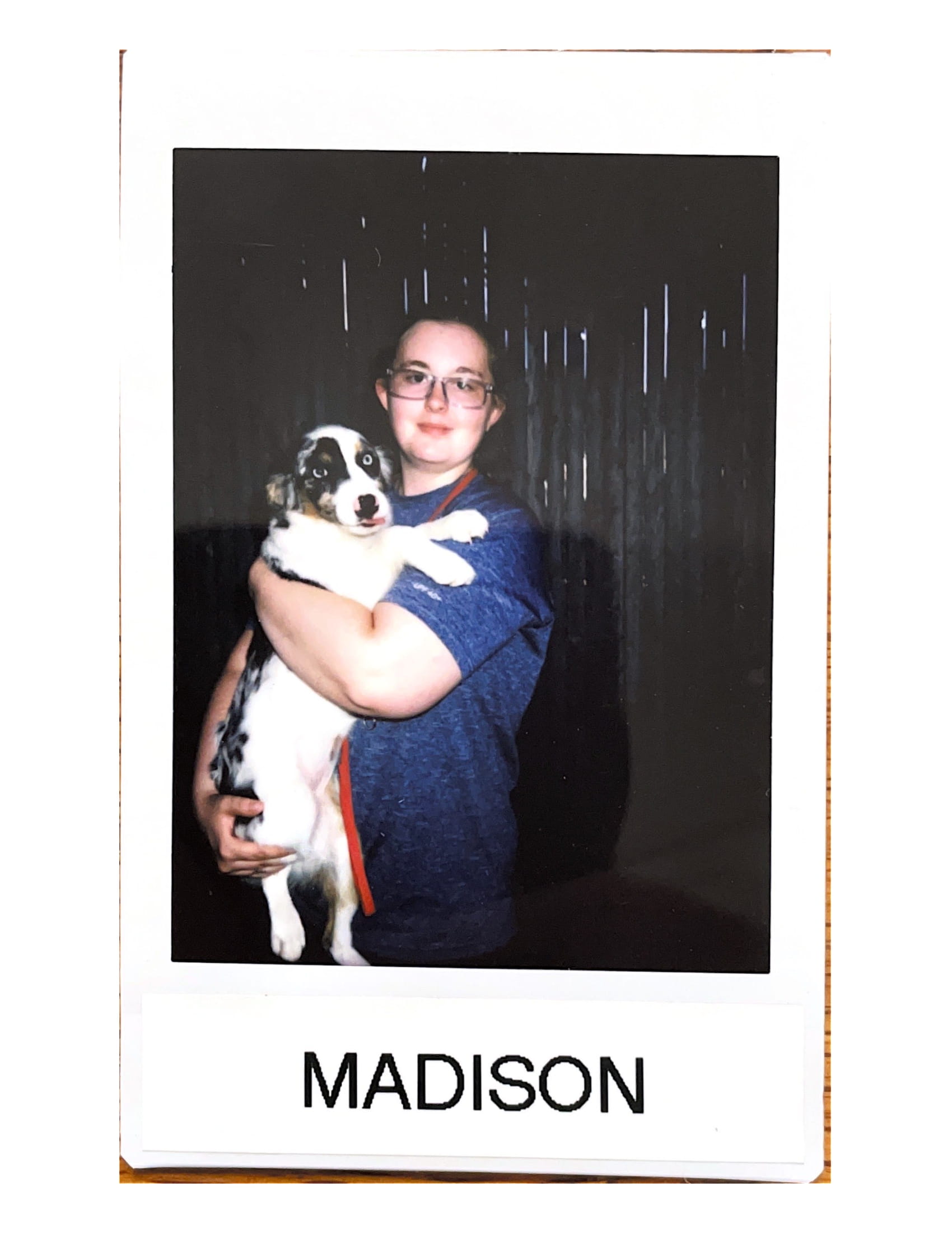 Meet the Staff at Baywood Kennels LLC for Pet Care Services in