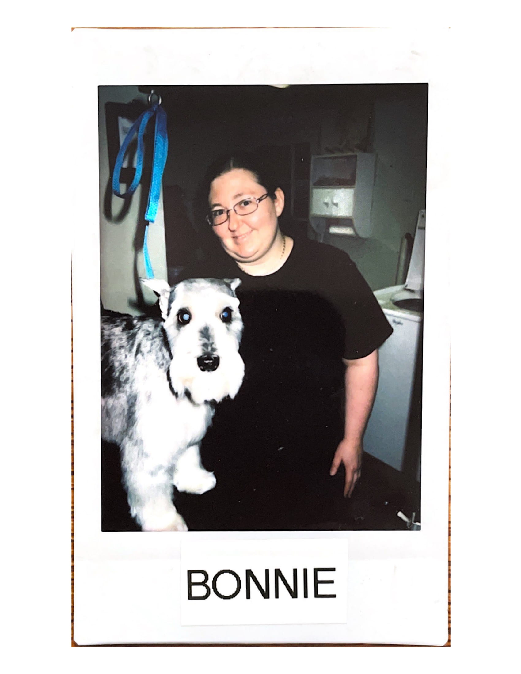 Meet the Staff at Baywood Kennels LLC for Pet Care Services in