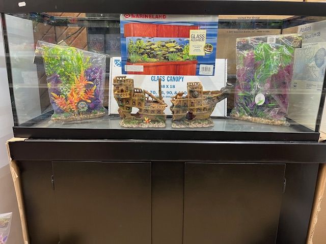 Image showcasing Aquarium Setups | Elyria, OH