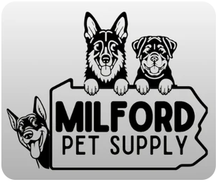 Milford Dog Grooming: Transform Your Pet's Look Today!