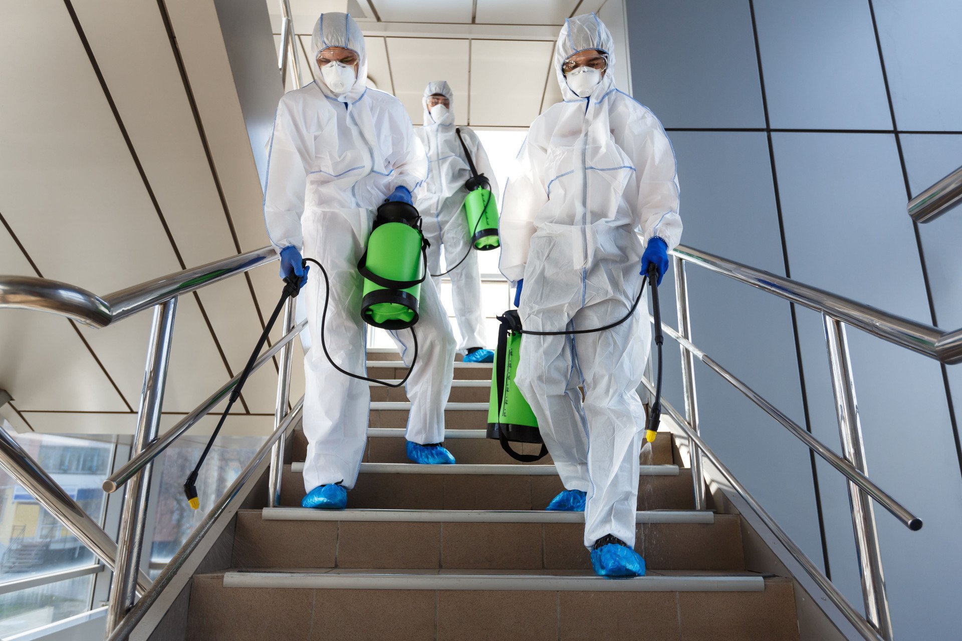 Mold Specialist Tampa FL Tampa Bay Mold Flood