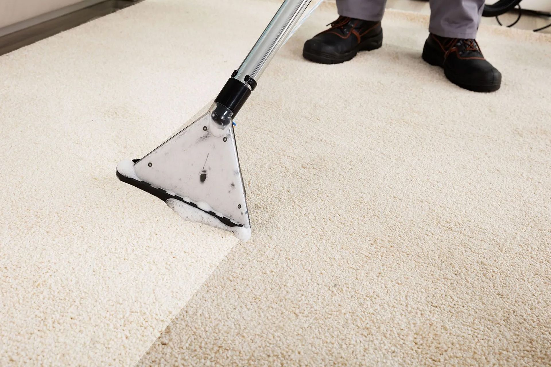 Residential Carpet Cleaning Company Virginia Beach, VA