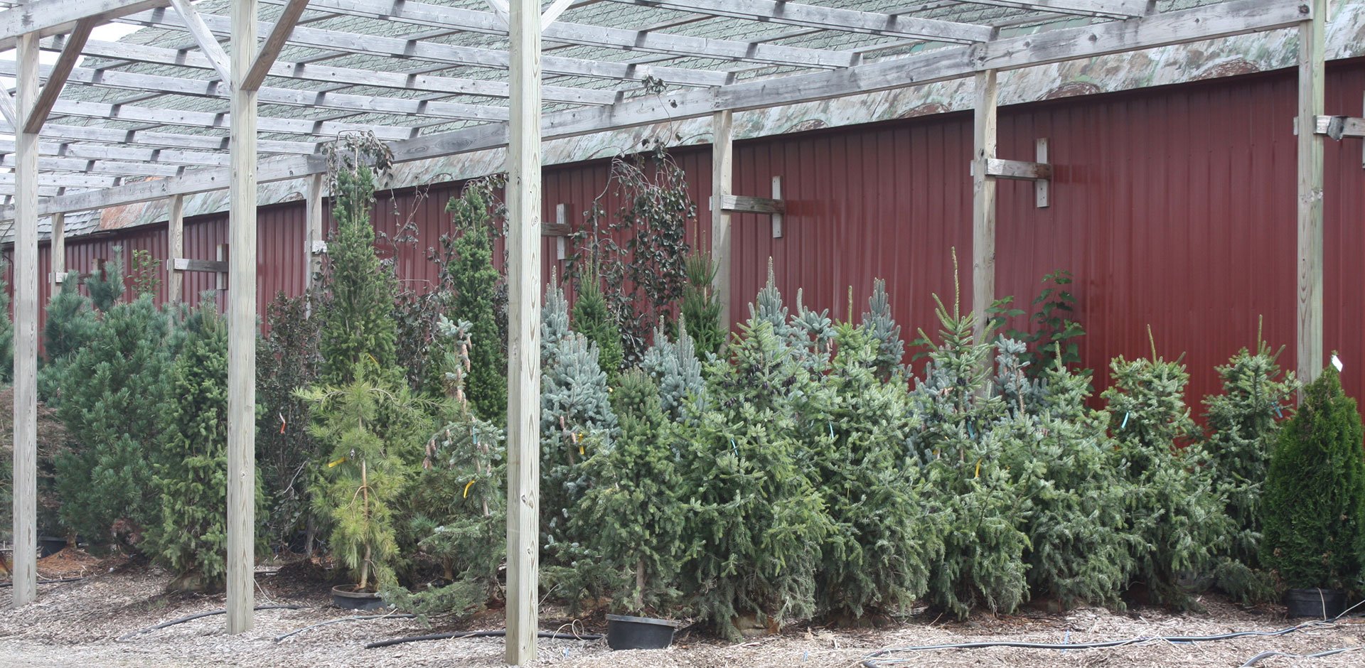 Underwood Nursery Gallery Adrian, MI