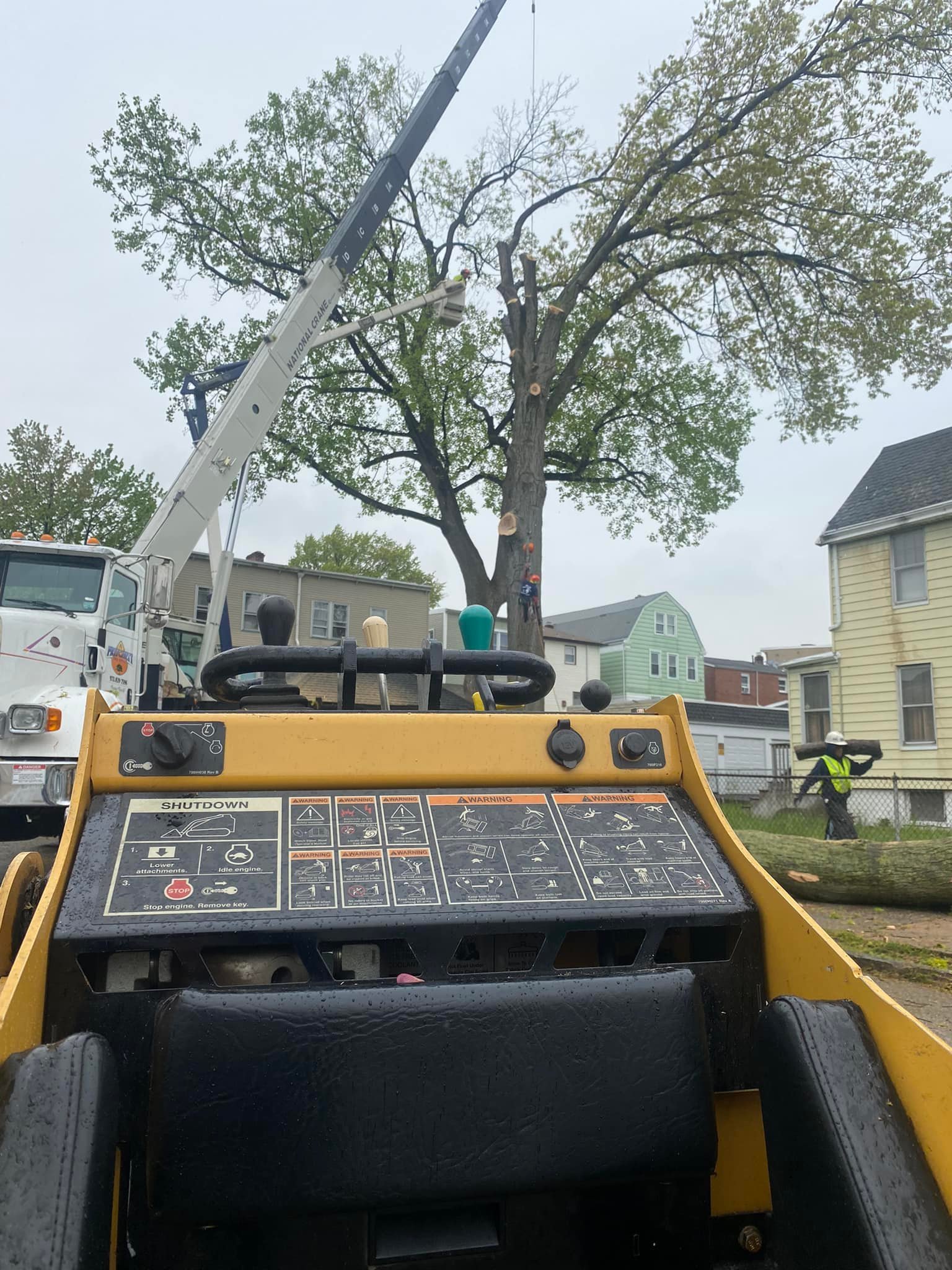 Atlas Tree Service Photo Gallery Lyndhurst, NJ
