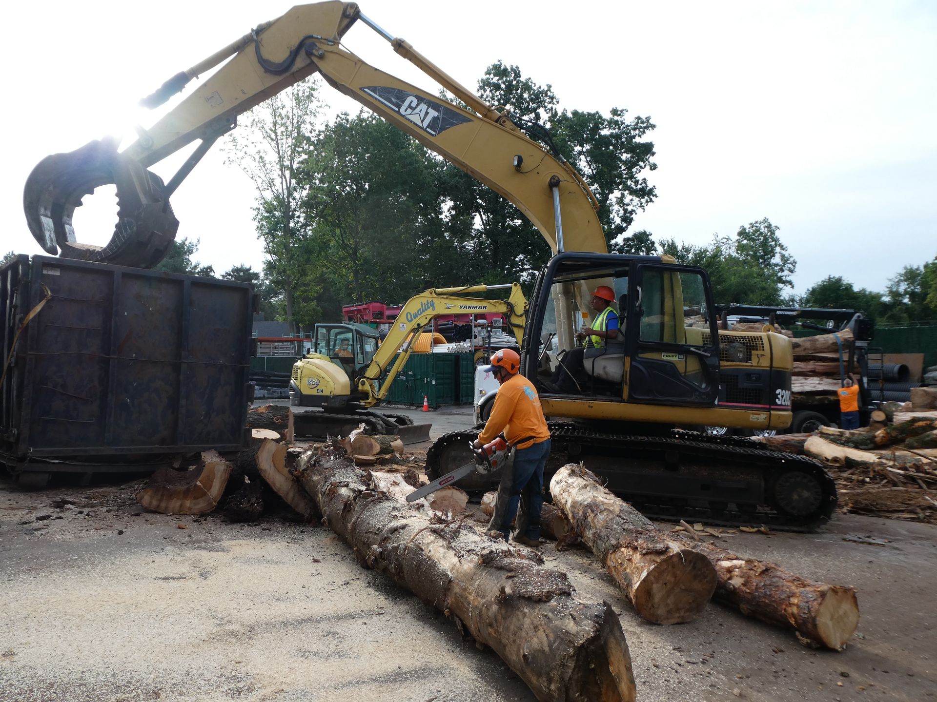 Tree Removal Top Notch Tree & Excavating Northern NJ