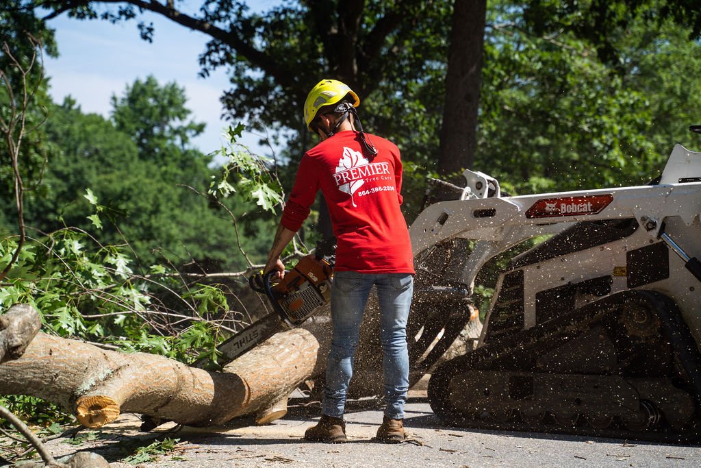 Gallery Premier Tree Care LLC