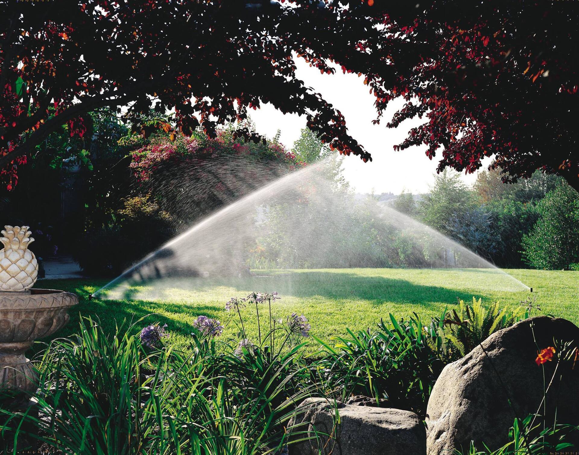 Rainmaker Irrigation Irrigation Systems Petoskey, MI