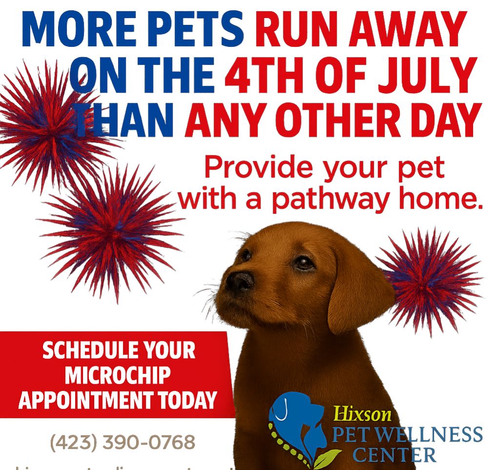 4th of July pet safety ad with a dog and fireworks, urging microchip appointments