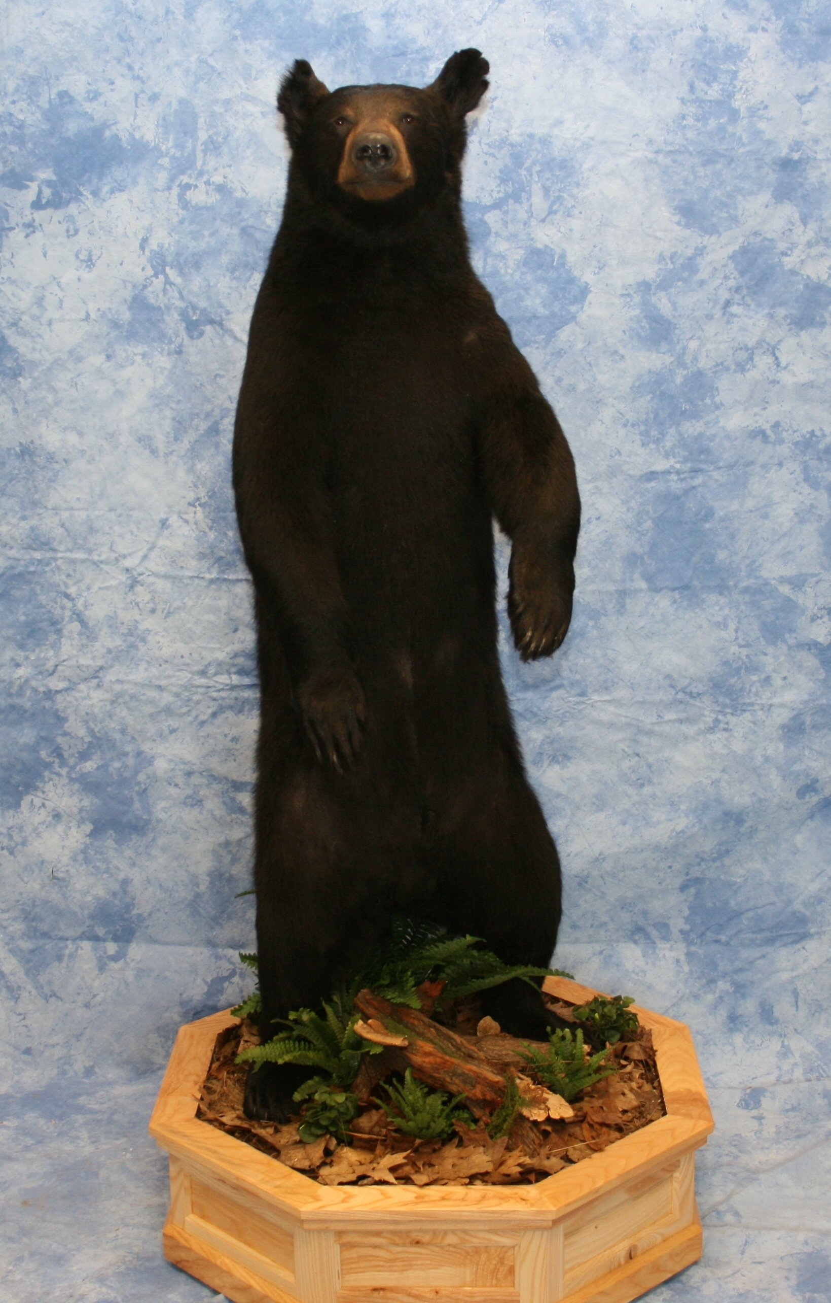 LifeSize Animals West Olive, MI