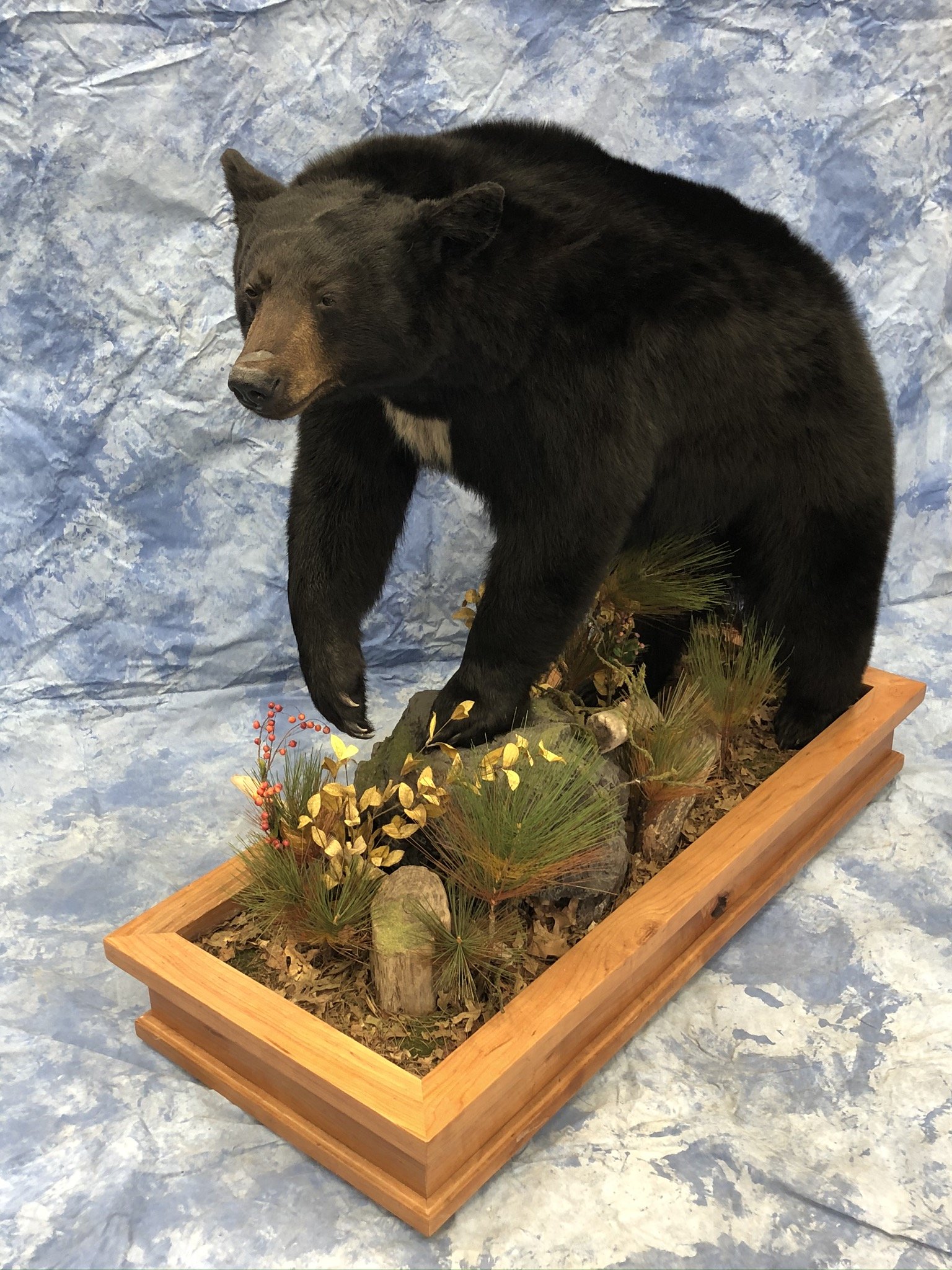 LifeSize Animals West Olive, MI