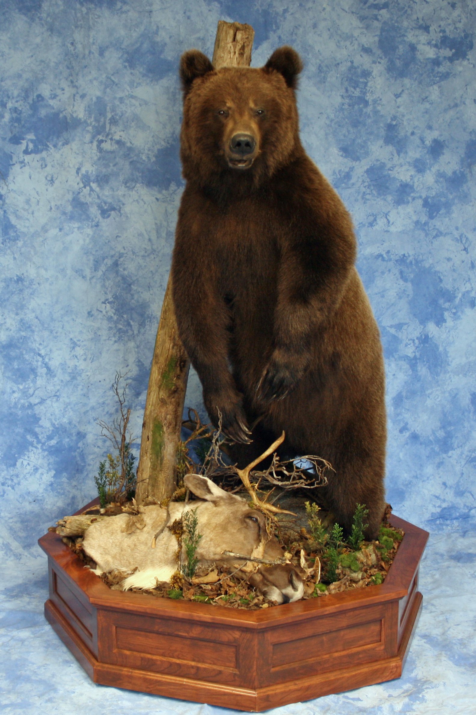 LifeSize Animals West Olive, MI