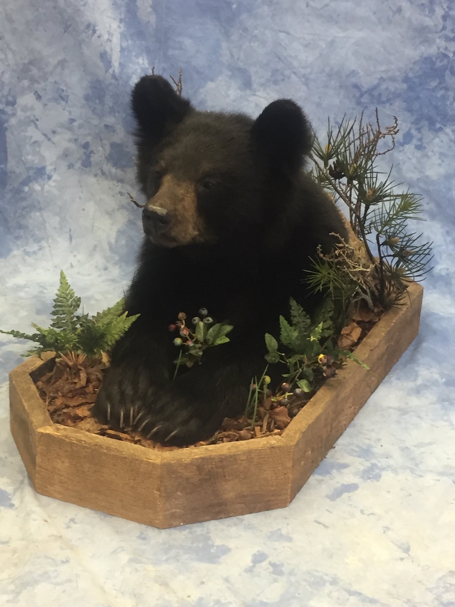 LifeSize Animals West Olive, MI