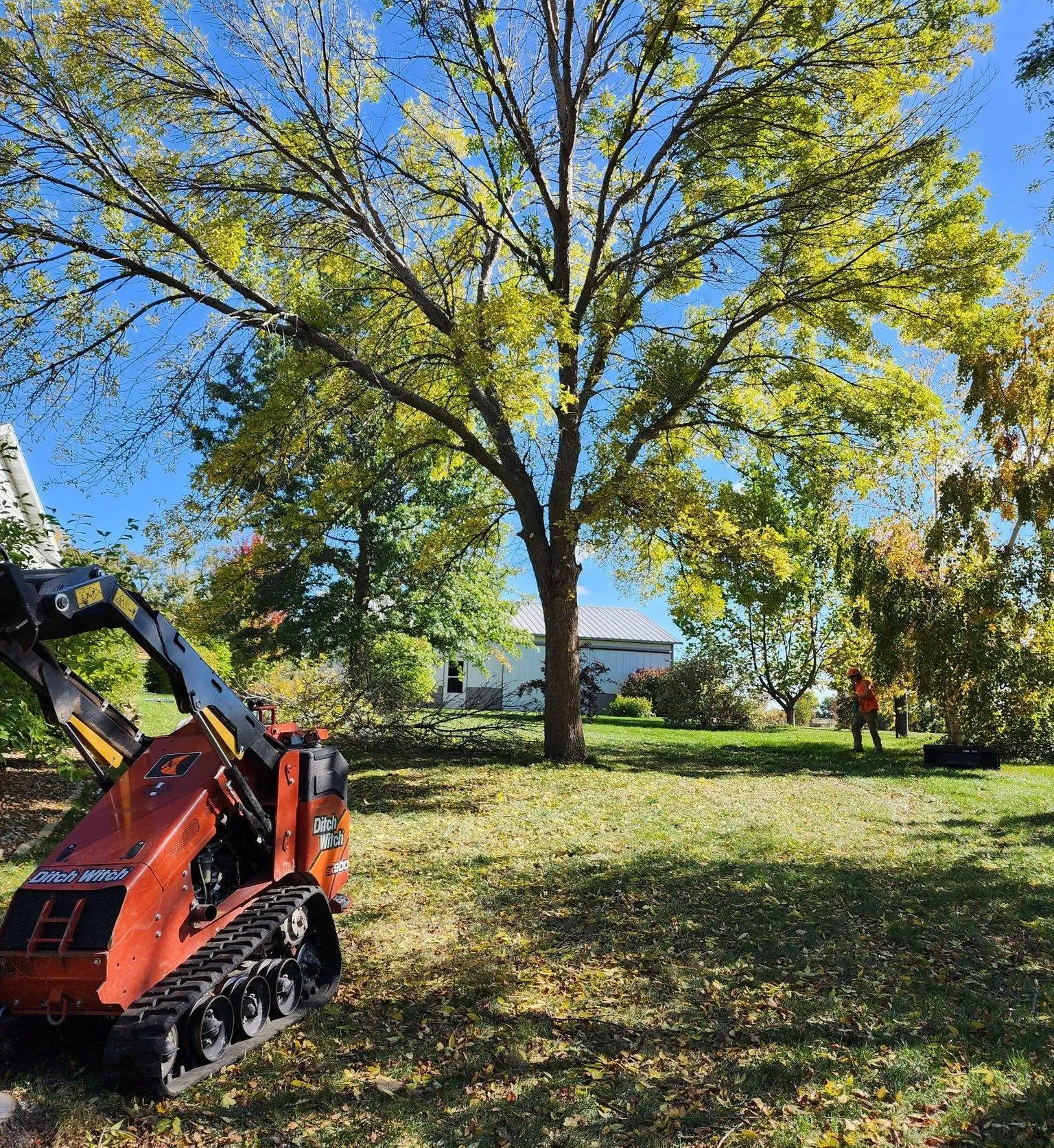 Gallery | D&J's Complete Tree Service - Ankeny
