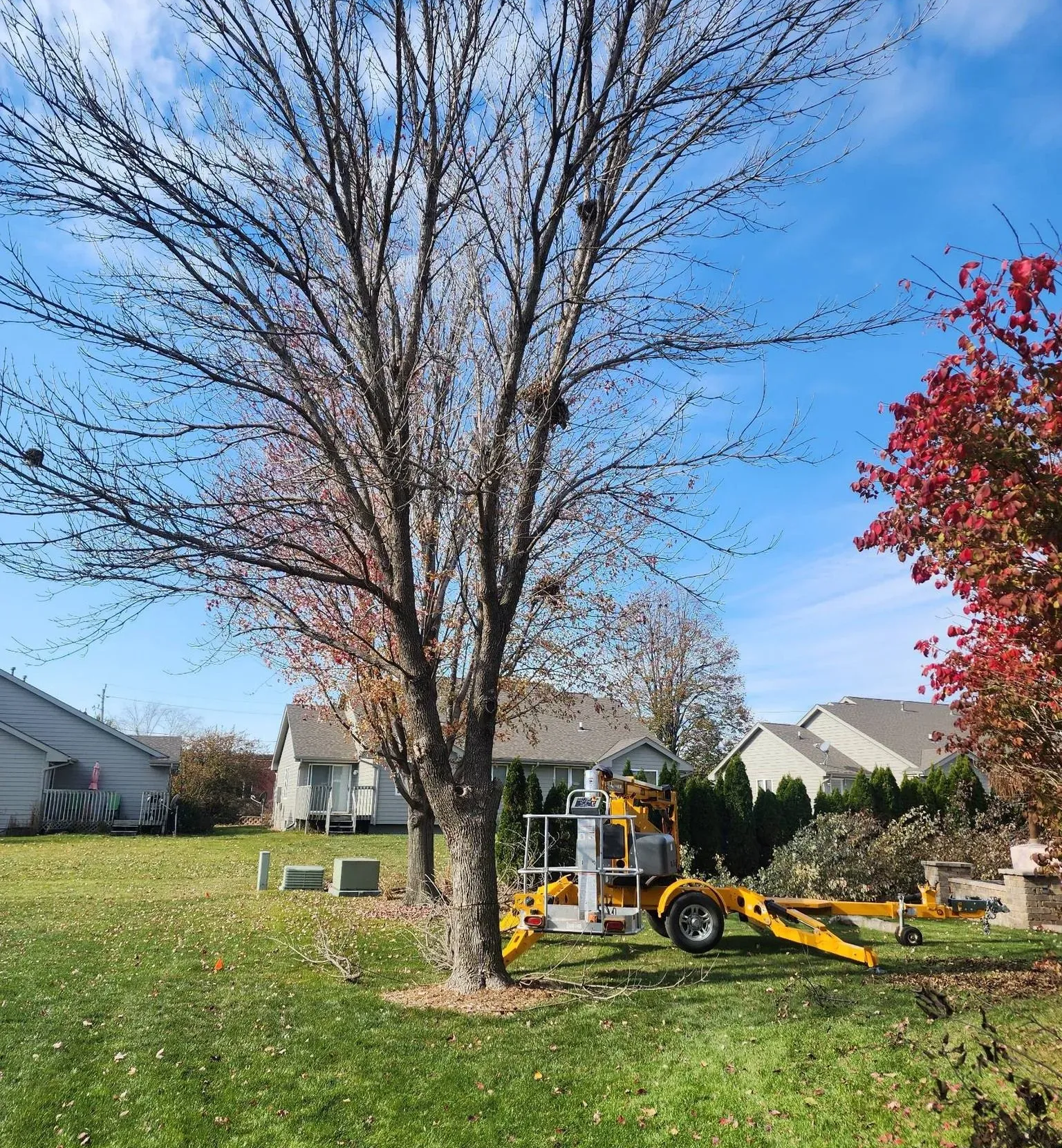 Gallery | D&J's Complete Tree Service - Ankeny