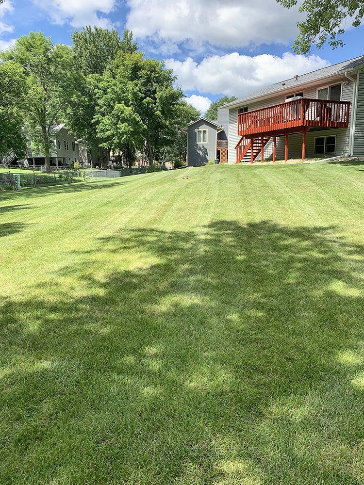 Midwest Seasons Inc Lawn Care St. Paul Eastern Metro