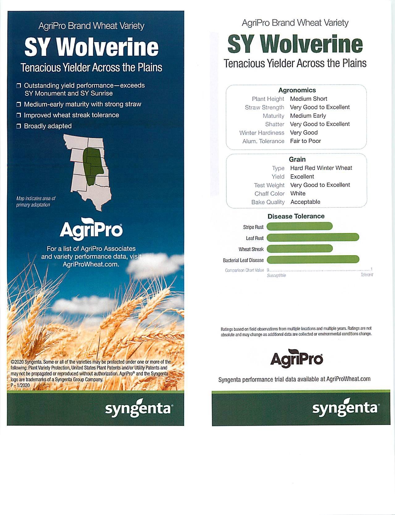 Seed Sales Seed Options Manter, KS