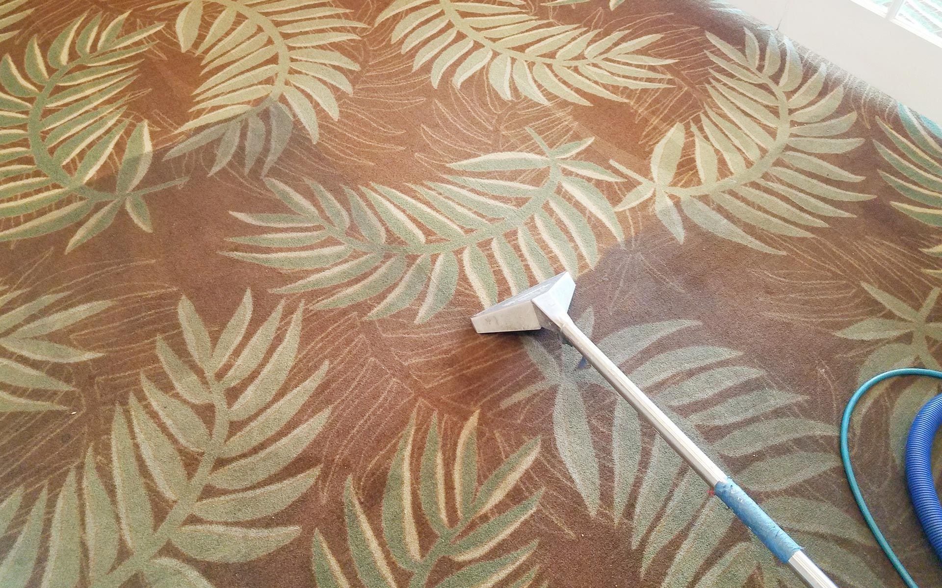 Carpet Cleaning Companies Cape Coral, FL Ft Myers, FL