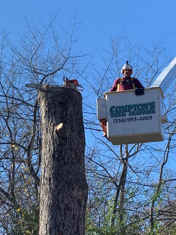 Tree Removal Service Greensboro, NC High Point, NC