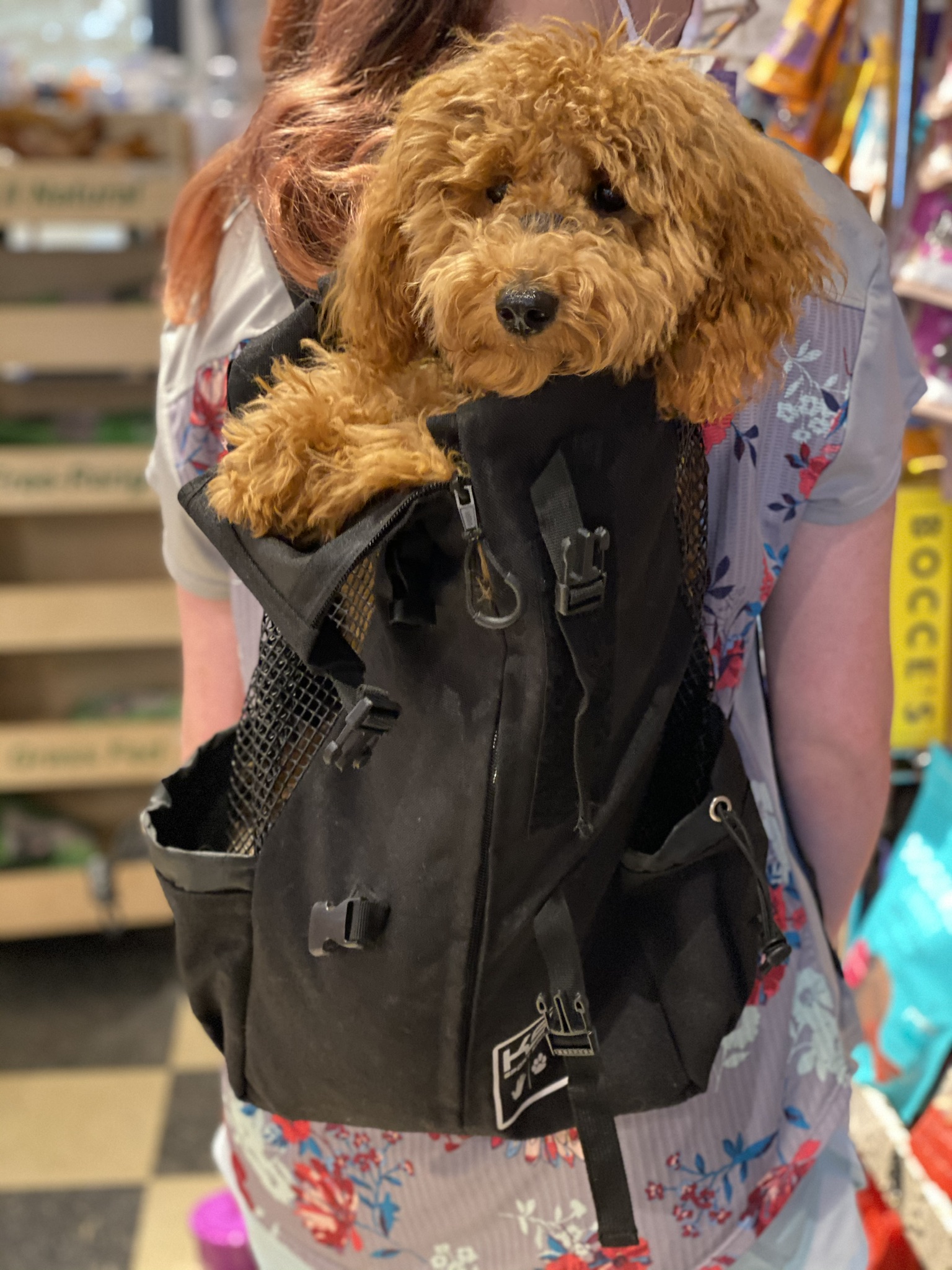 Gallery The Pet Store Next Door