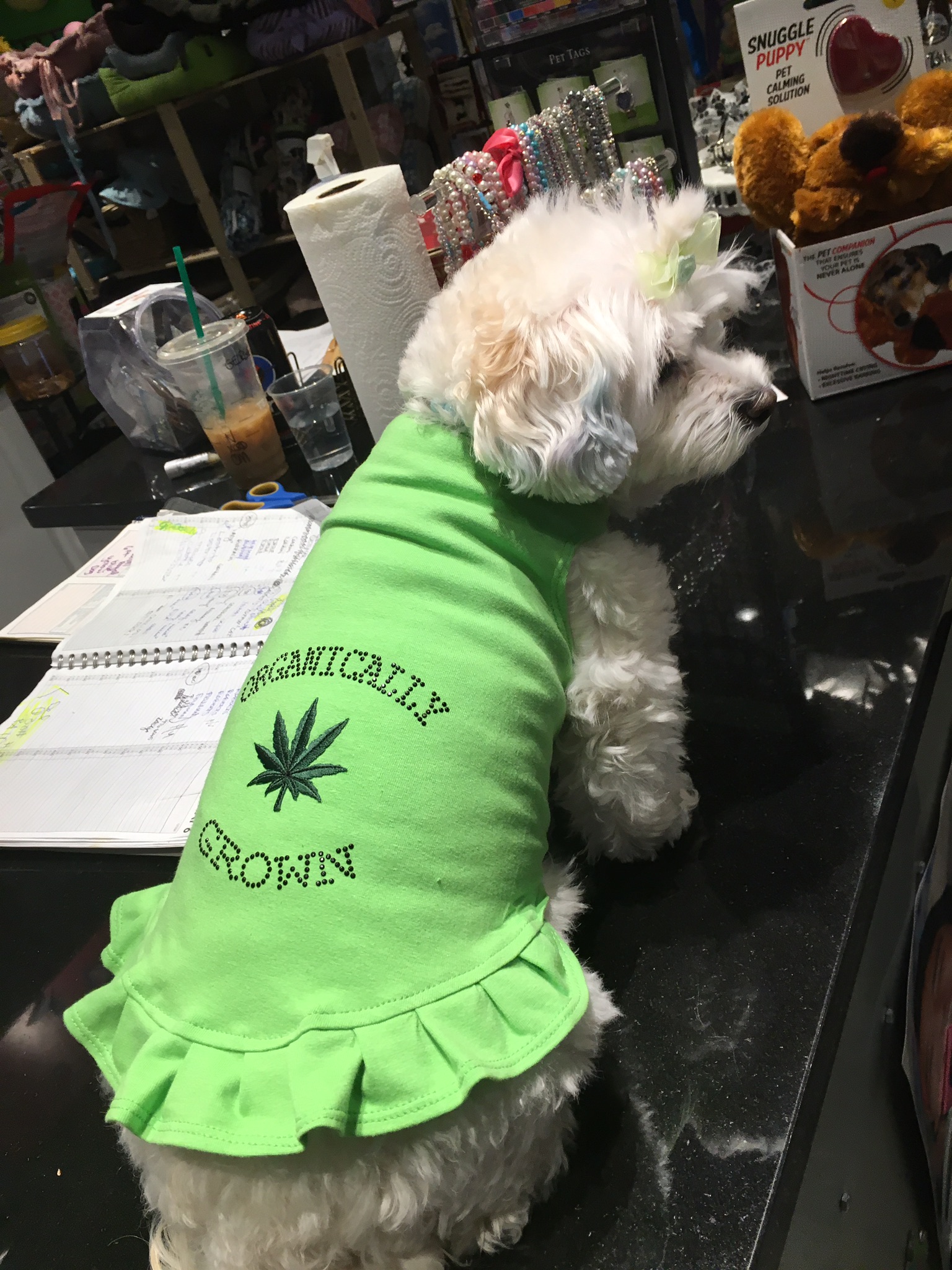 Gallery The Pet Store Next Door