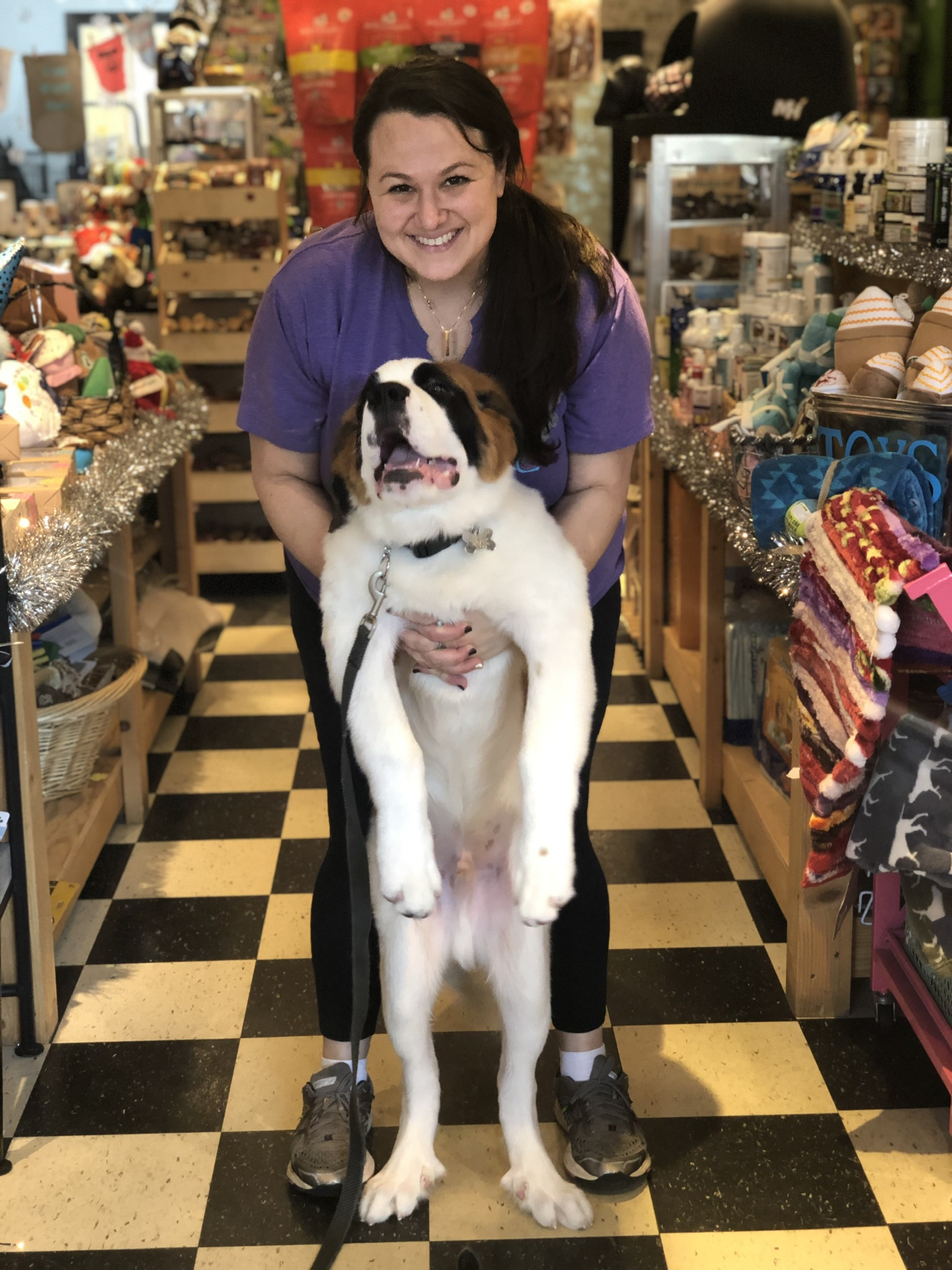 Gallery The Pet Store Next Door