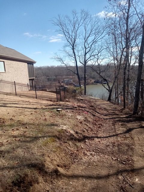 Trimming & Removal | Affordable Tree Service | Northwest Alabama