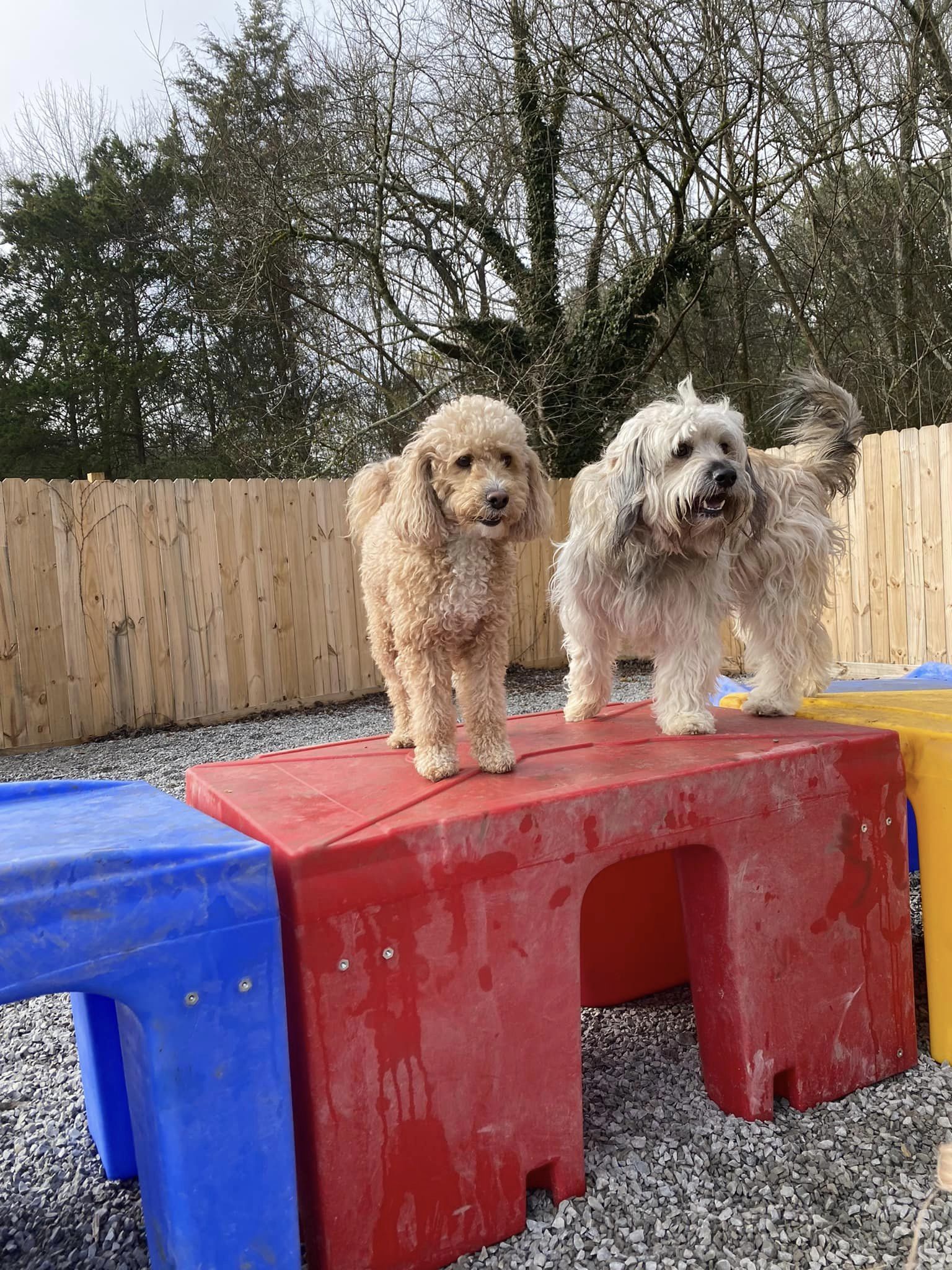 Book an Appt With The Ranch at Bonny Oaks Chattanooga, TN