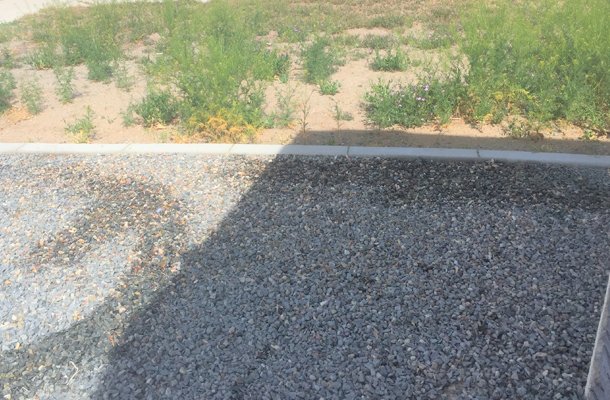 Weed Control Services | Reno, NV