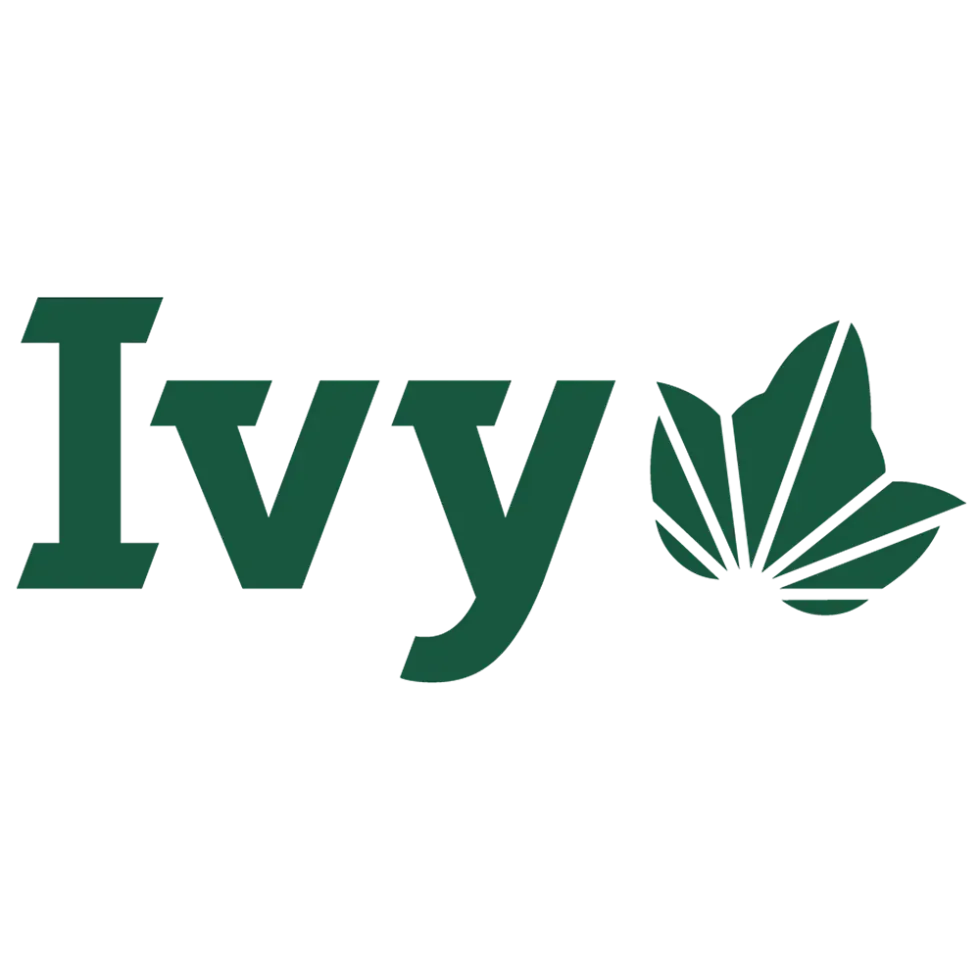 Ivy logo in dark green with stylized leaf emblem