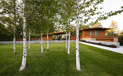 A house with a lot of trees in front of it