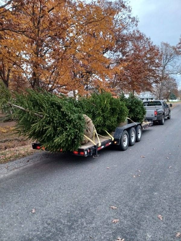 Paul Tree Farms LLC Installs Pleasant Plains, IL