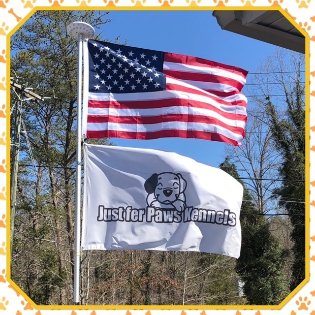 Pet Day Care Pet Play Area Gatlinburg, TN