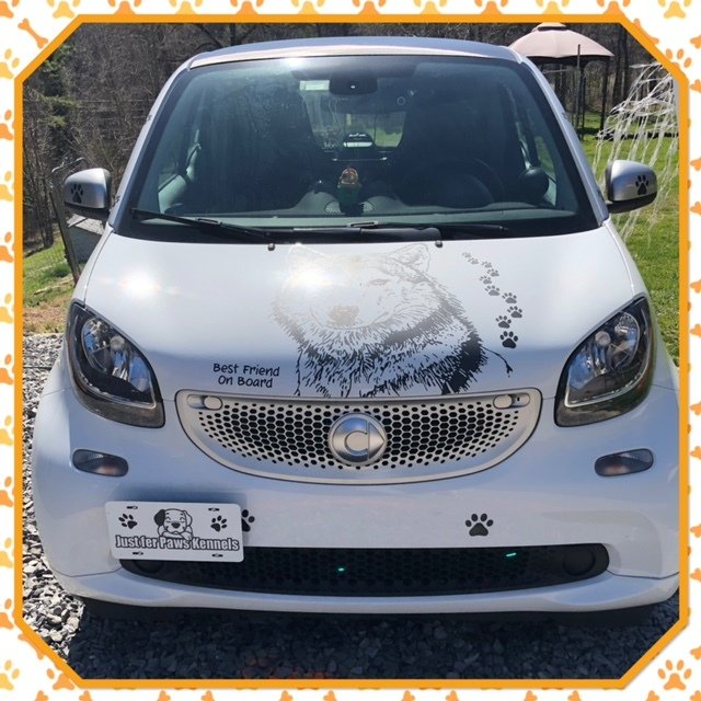 Just fer Paws Kennel Photo Gallery Gatlinburg, TN