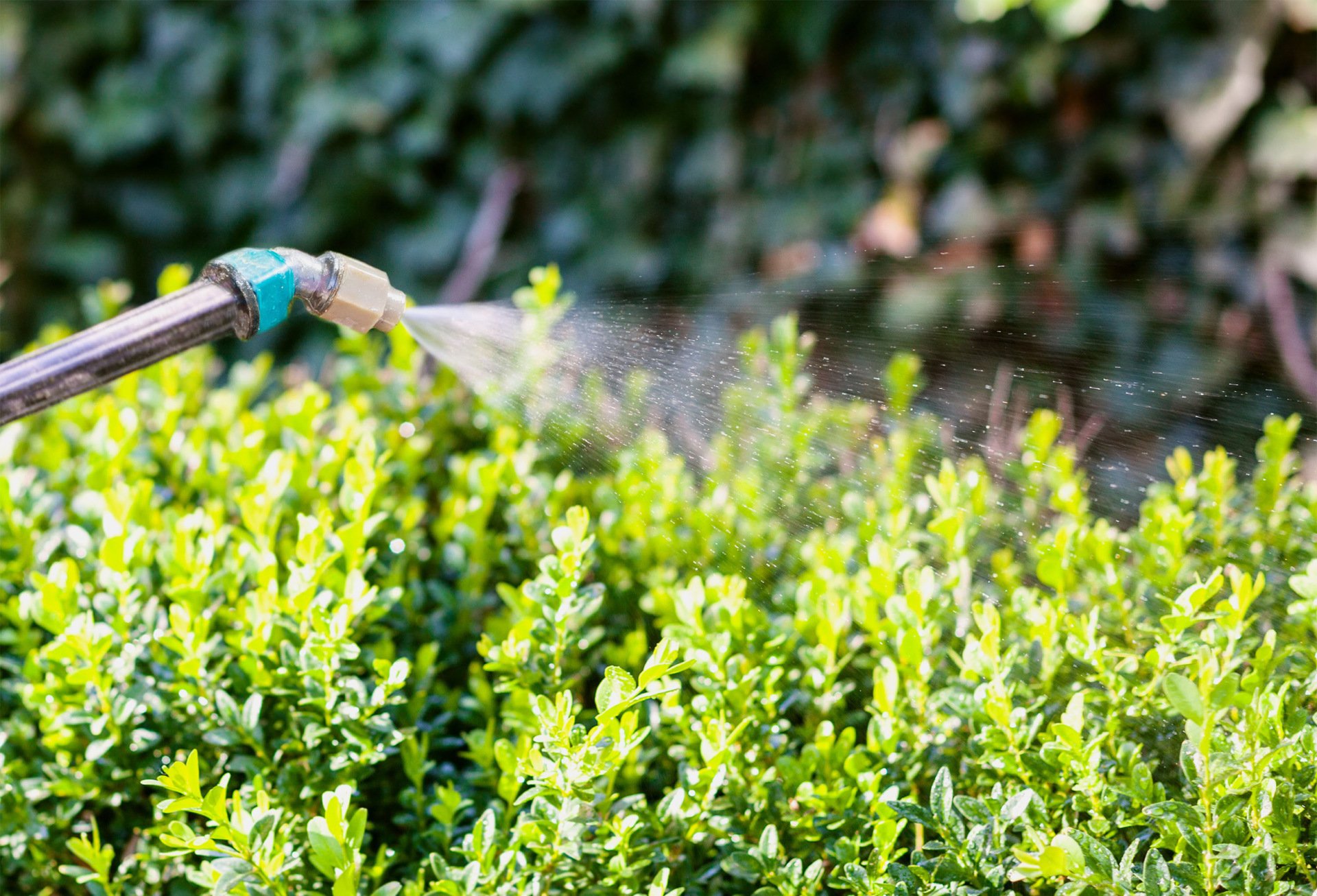 State Termite & Pest Control Pest Control Columbus, MS