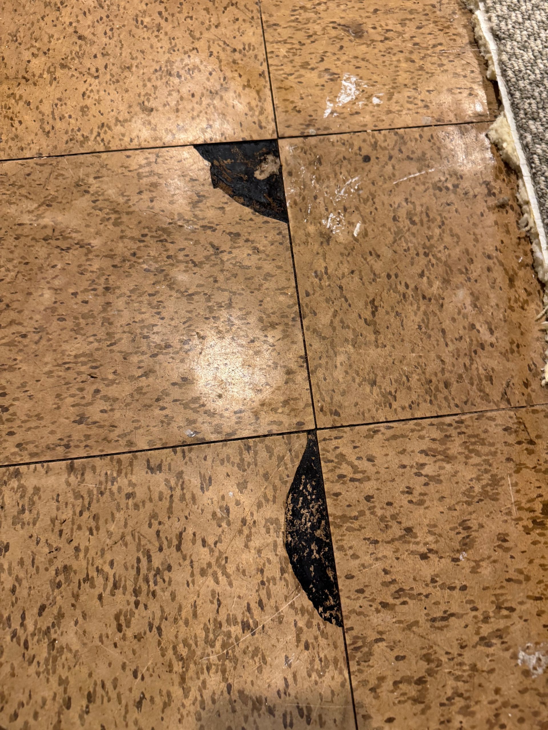 Damaged brown tiled floor with black, tear-shaped sections and white discoloration.