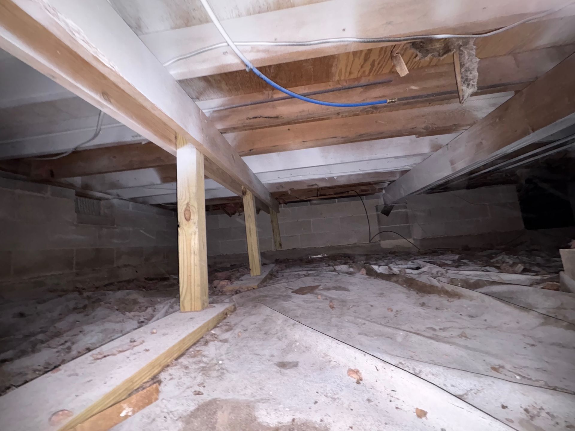 Crawlspace under a building with wooden beams, supports, and a dirt floor.