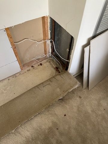 Damaged wall with exposed wood framing and wiring, carpeted floor. White sheet rock leaning against the wall.