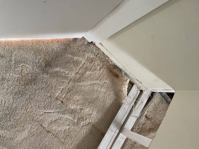 Corner of textured wall and ceiling with molding.