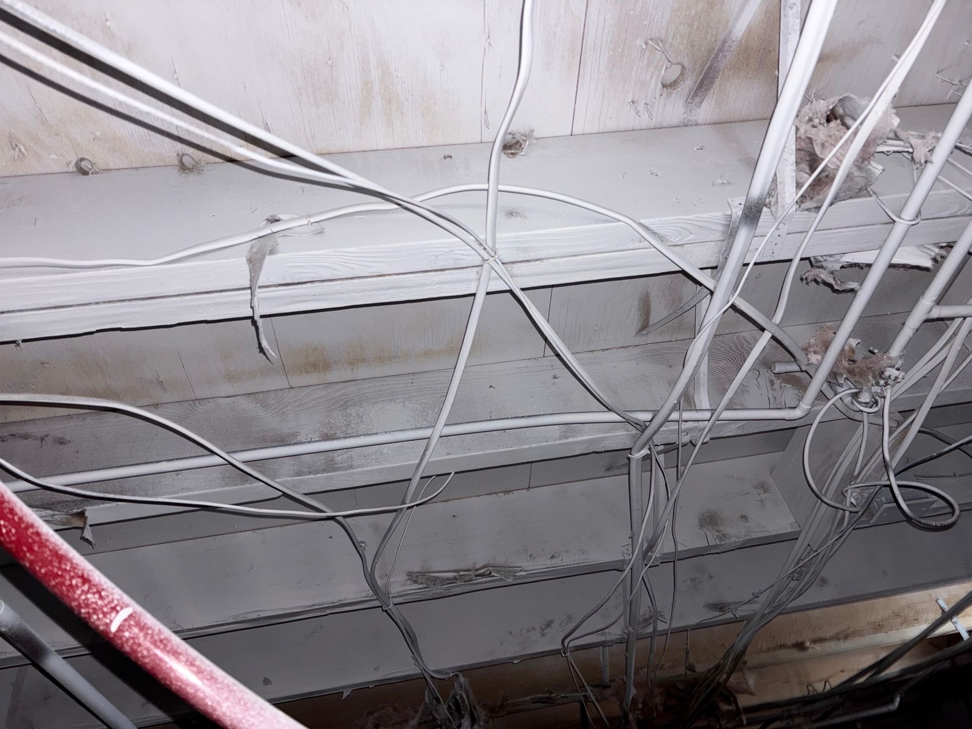 Electrical wires and conduit run haphazardly across a painted ceiling.