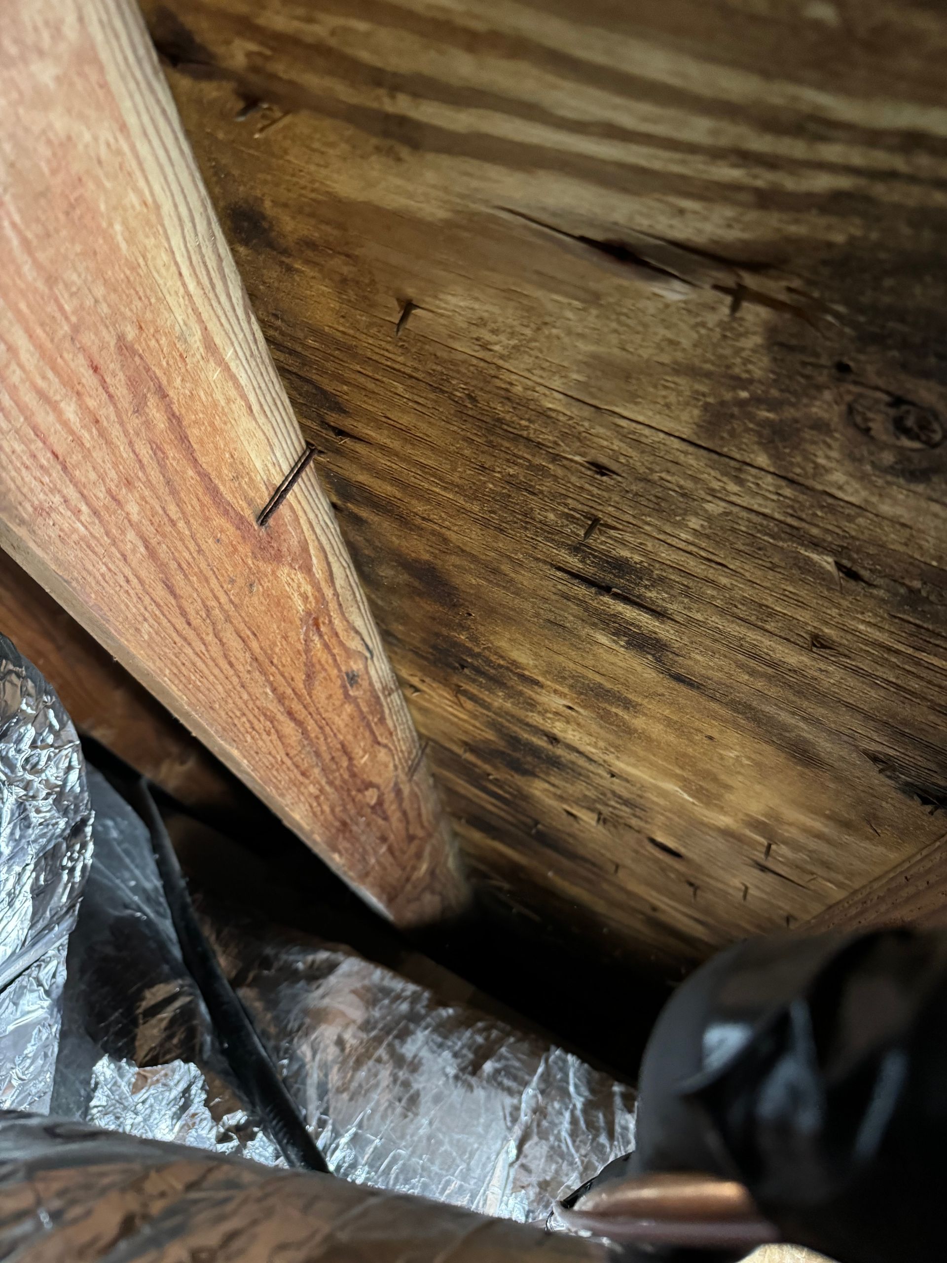 Wooden rafters and sheathing with black discoloration, likely mold, in an attic or crawlspace.