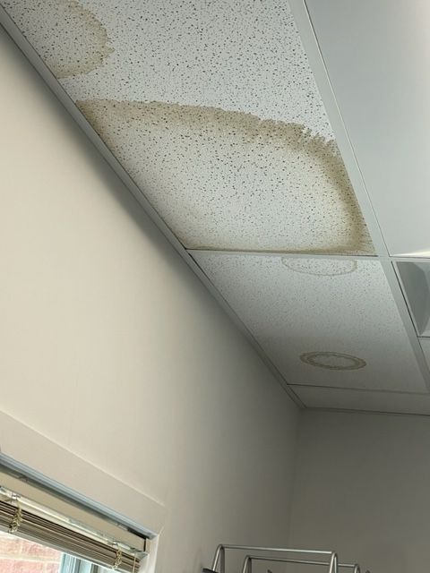 Water-stained ceiling tiles in a commercial setting, with brown discoloration in various circular and oblong shapes.