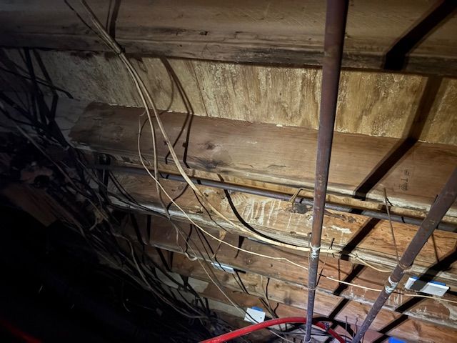 Interior view of a cluttered attic with exposed wooden beams, wiring, and pipes. The wood appears damp and discolored.